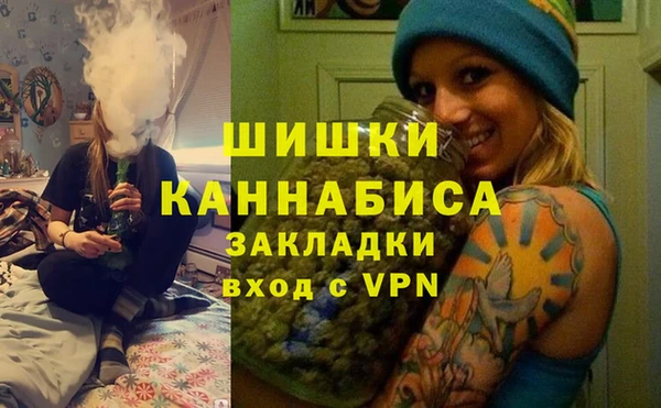 твердый Алзамай